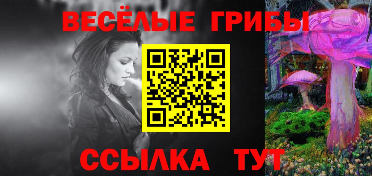 Рузаевка  Псилоцибиновые грибы прущие грибы  Псилоцибиновые грибы Psilocybe  Вход с VPN 