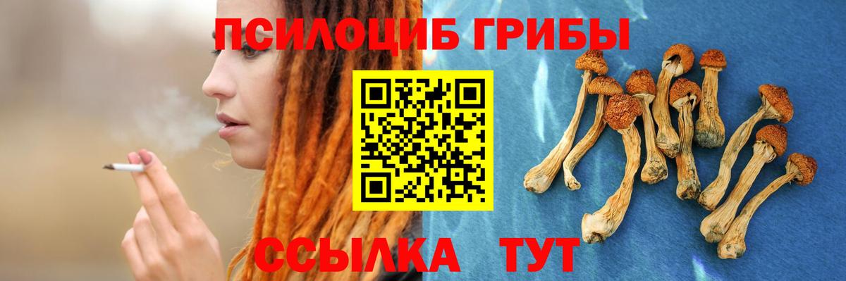 Псилоцибиновые грибы мицелий Рузаевка